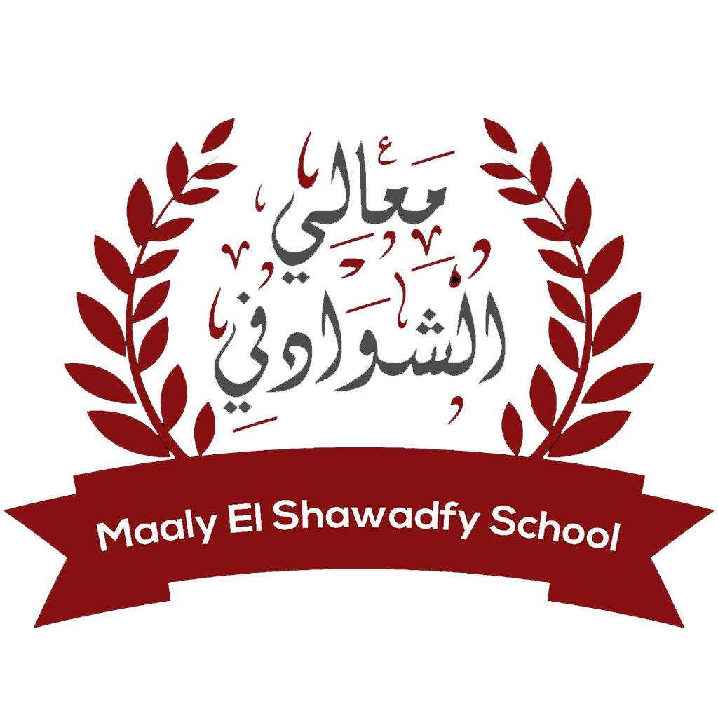 Maaly El Shawadfy